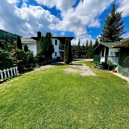Vila Horia Bradet Sacele Exterior photo